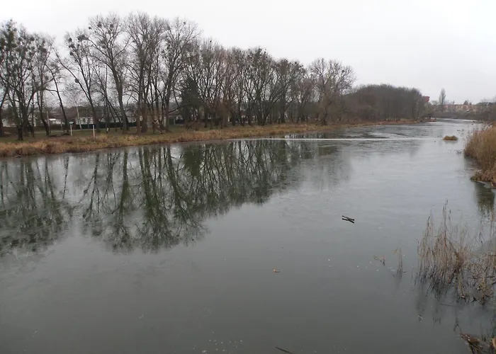 Готель Monaco Коростень